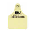 Tag Sales